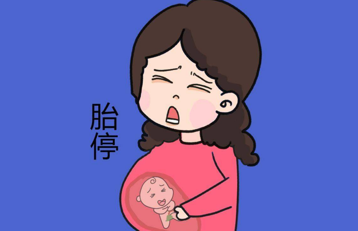 怀孕几个月胎停了是什么原因？