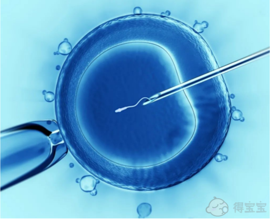 试管婴儿囊胚移植和普通胚胎移植之间的区别是什么吗？它的缺点和优点都有哪些呢？